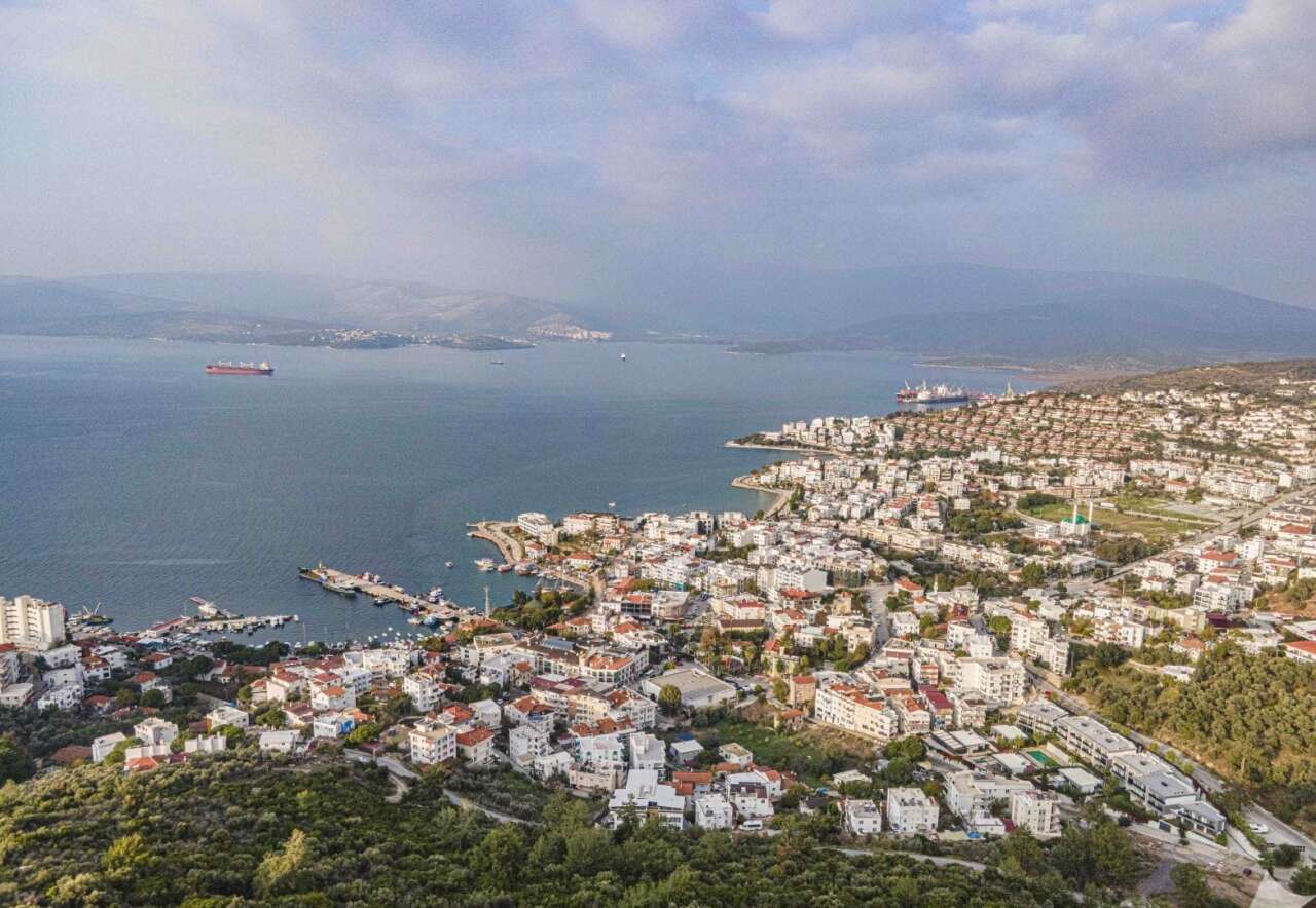 Denize Sıfır Zeytinlikler Kiraya Veriliyor: Aydın Vakıflar 86 Taşınmaz İçin İhaleye Çıkıyor 2